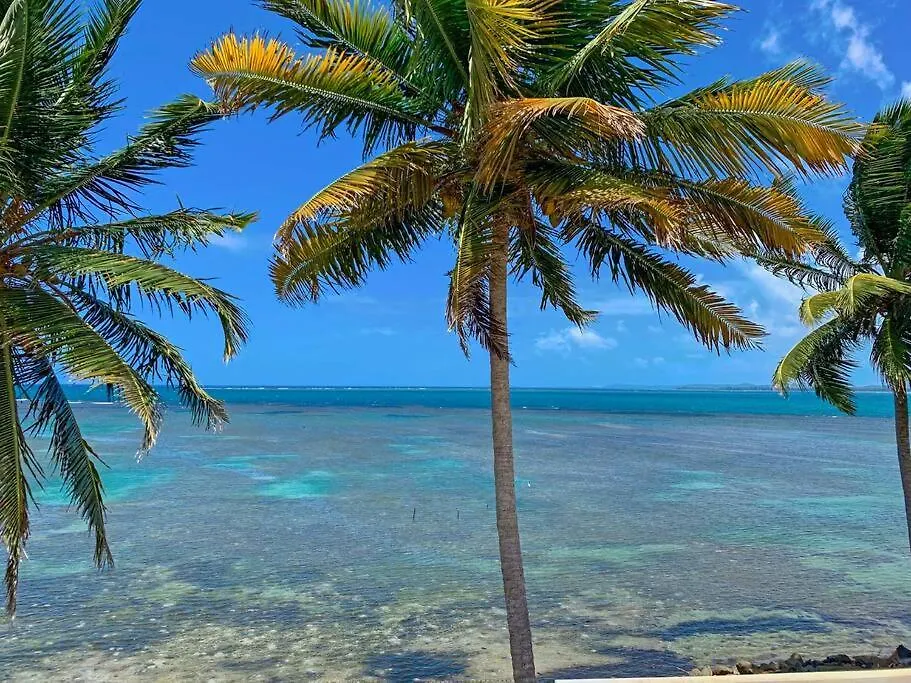 Newly Renovated 8 Bedroom Ocean Front Villa With Pool Rio Grande