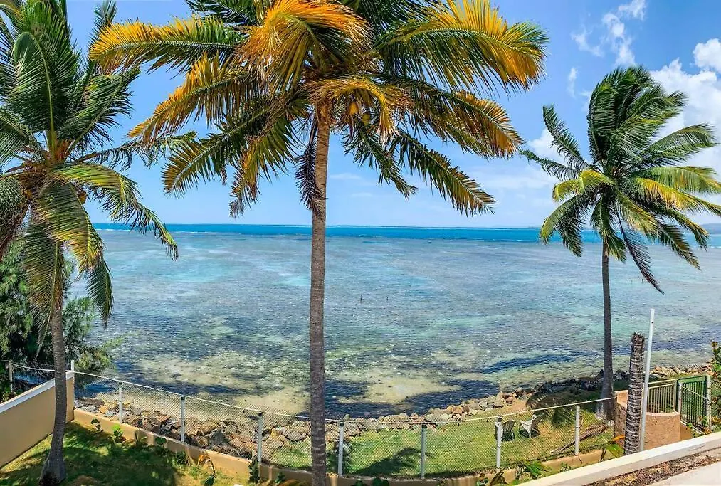 Newly Renovated 8 Bedroom Ocean Front Villa With Pool Rio Grande