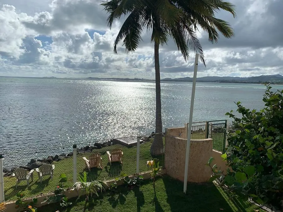 Newly Renovated 8 Bedroom Ocean Front Villa With Pool Rio Grande 0*,  Porto Rico
