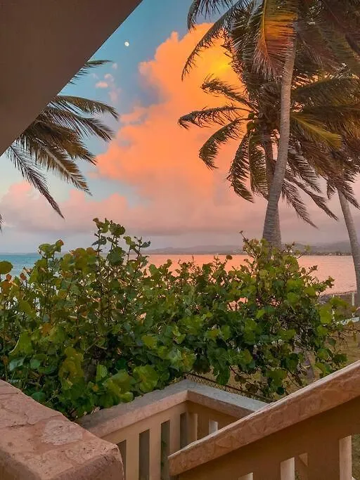 Newly Renovated 8 Bedroom Ocean Front Villa With Pool Rio Grande