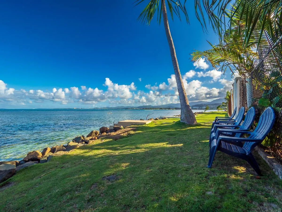 Newly Renovated 8 Bedroom Ocean Front Villa With Pool Rio Grande